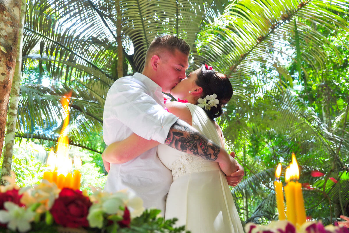 Promotion Elephant Wedding