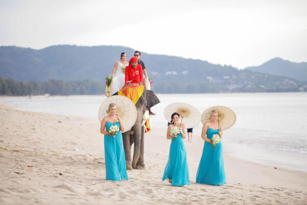 Elephant Wedding @ Beach