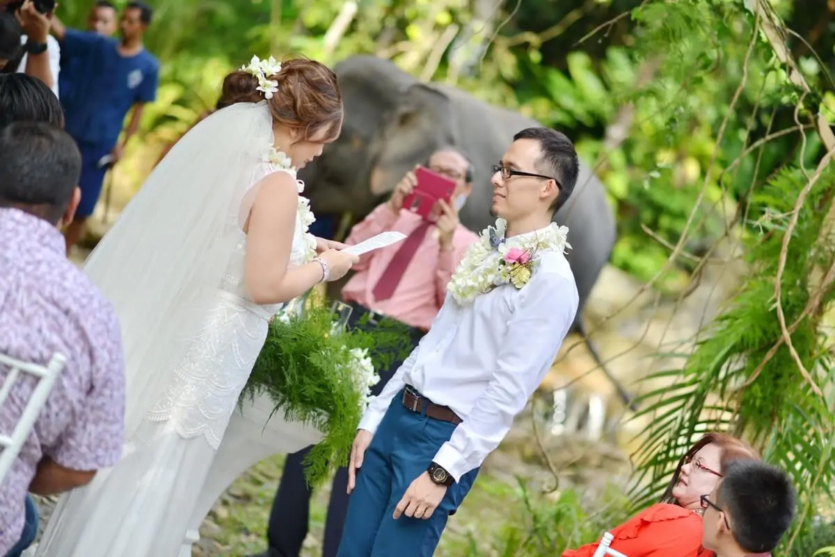 Phang Nga Elephant Wedding